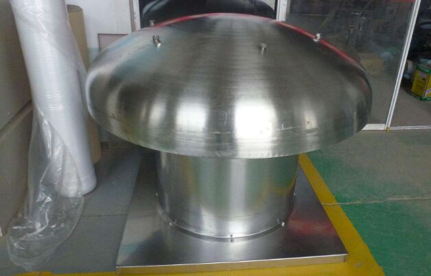 ���P�����L�C